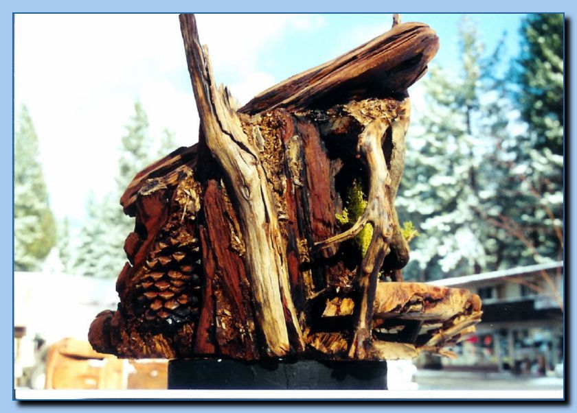 2-19 bird house with pine cones-archive-0006
